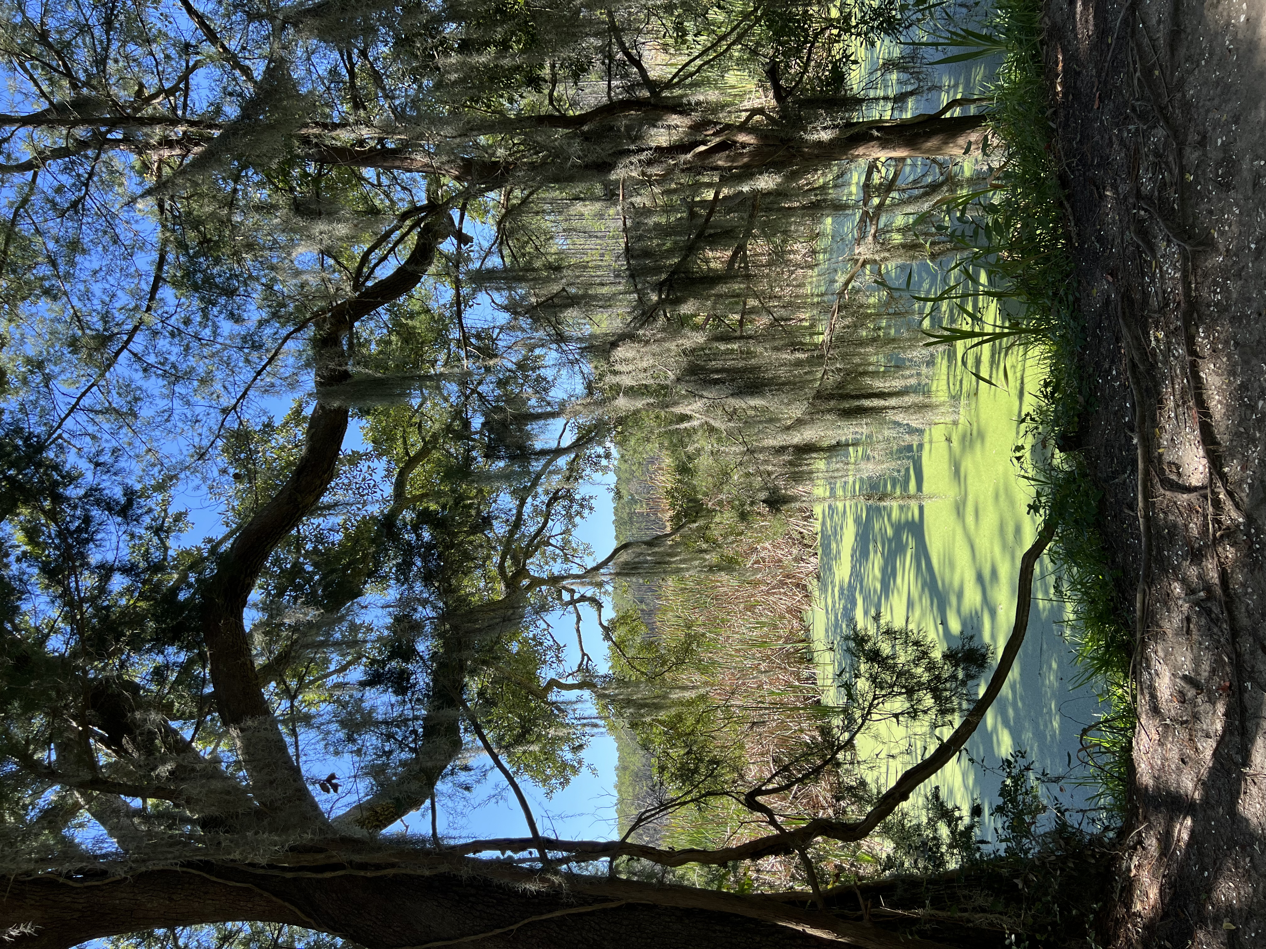 ./2024/10 - Myrtle Beach/IMG_2890.jpg